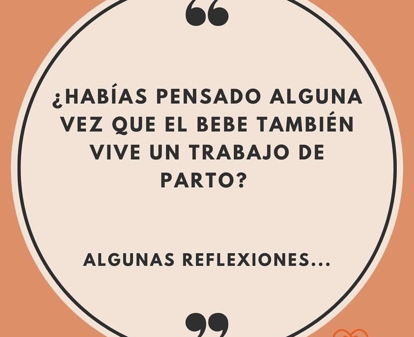 el bebe también vive un trabajo de parto